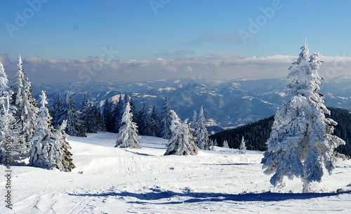 mountain landscape in winter on snow