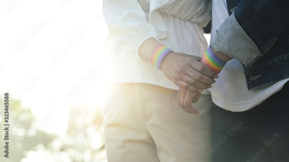 Obraz premium Cropped image of young LGBT lesbian couple holding hands while walking together in beautiful grass field sunset. LGBT happiness concept.