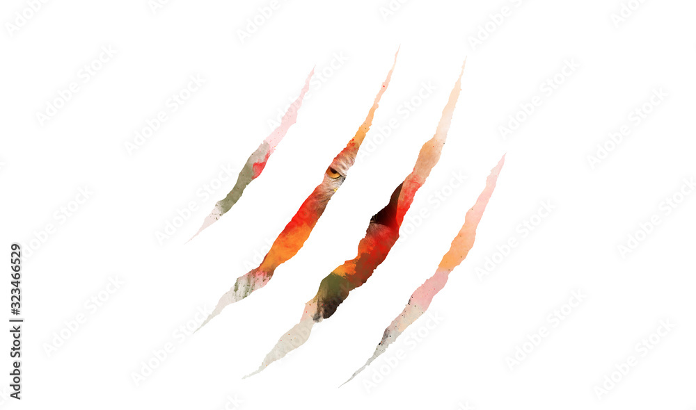 Wildlife abstract image. Empty background Wildlife abstract image. Empty background