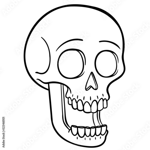 monochrome head of a skull with an open jaw. isolated, comic, horror, halloween, vector.