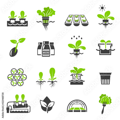 Collection of flat icons - hydroponic gardening systems photo