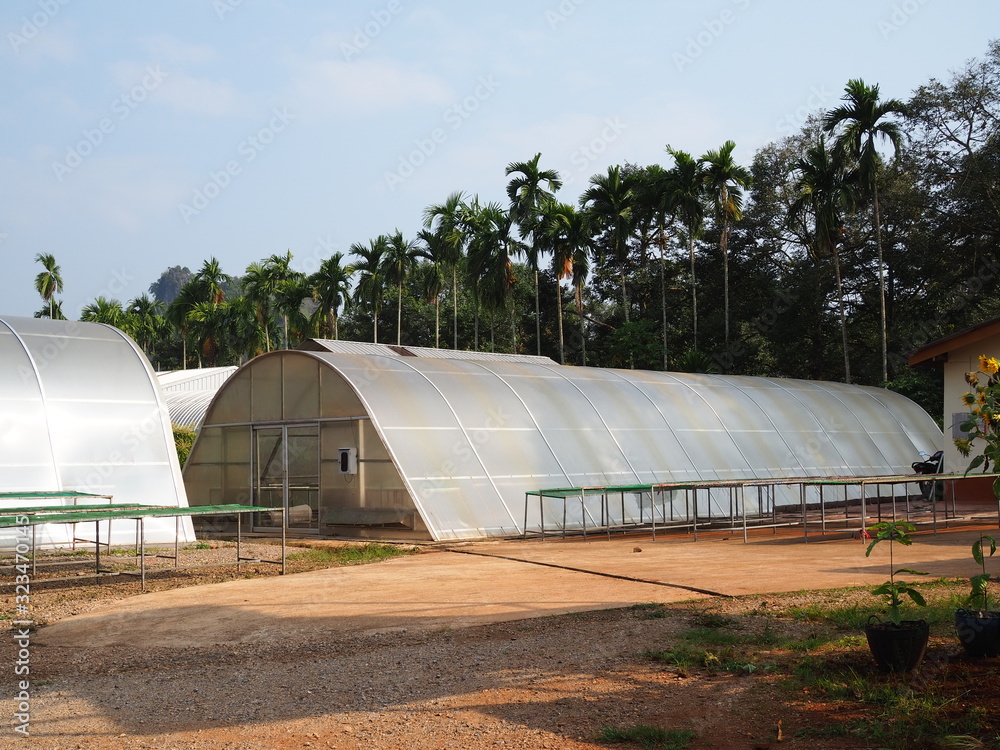 greenhouse solar drying system. Drying coffee bean. greenhouse solar drying system. Drying coffee bean.