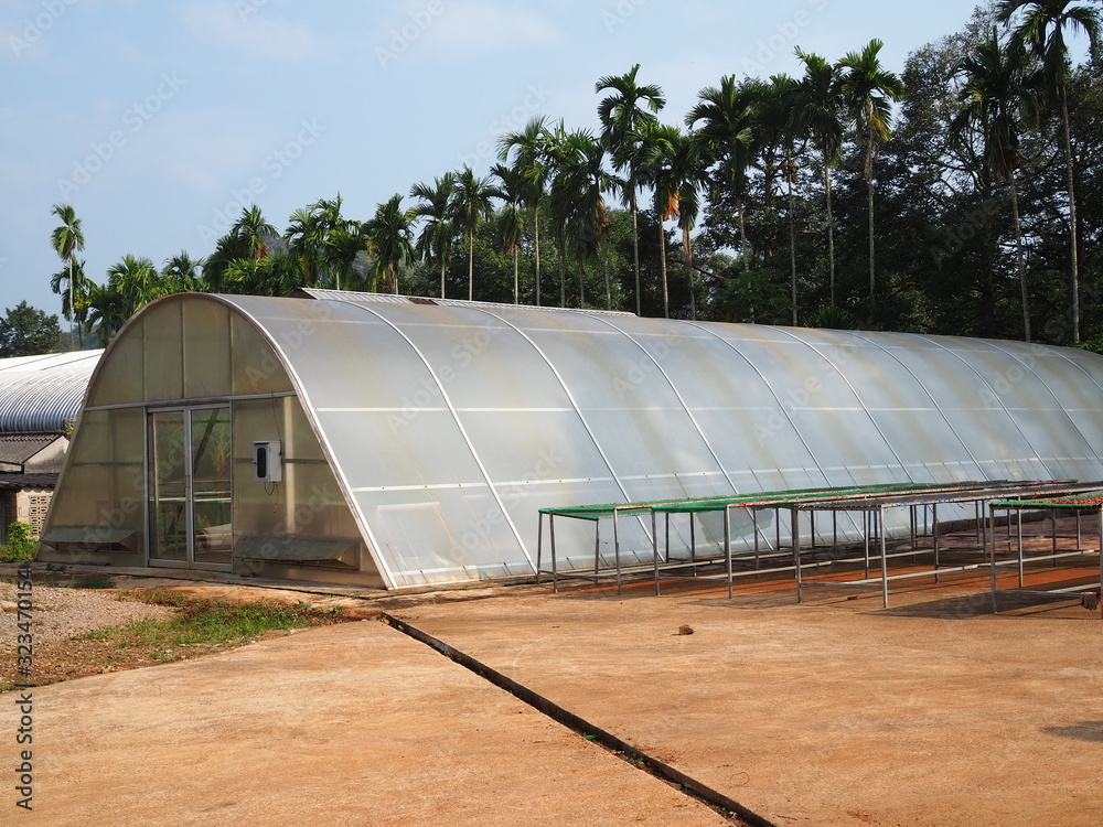 greenhouse solar drying system. Drying coffee bean. greenhouse solar drying system. Drying coffee bean.