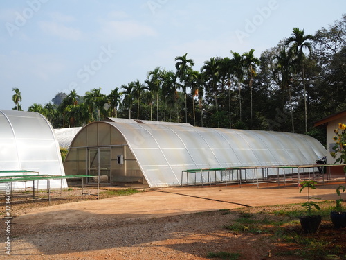 greenhouse solar drying system. Drying coffee bean.