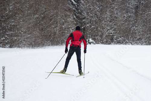 People do cross country skiing in the woods in winter. © Александр Поташев