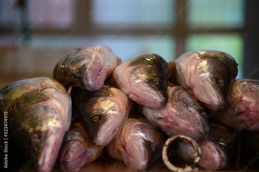 Fresh fish at market, close up Fresh fish at market, close up