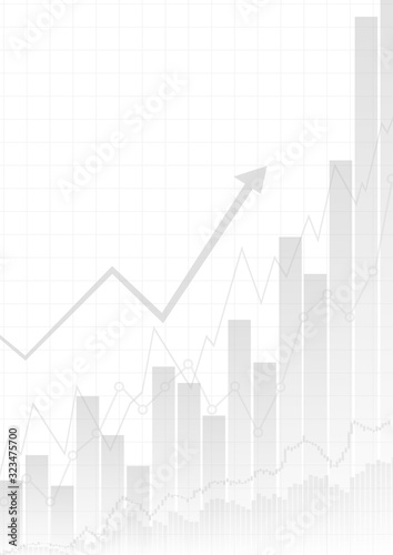 Vector : Business graphs on white background