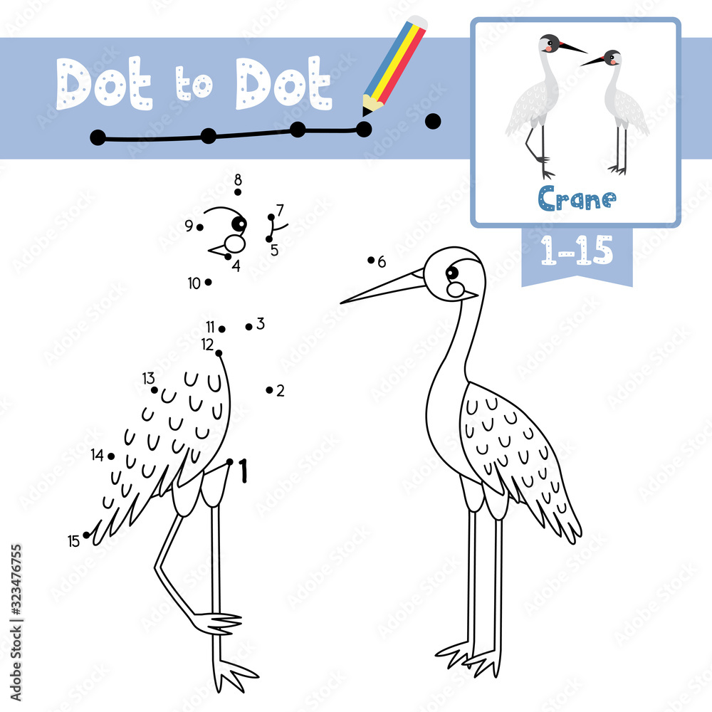 Dot to dot educational game and Coloring book Standing Crane bird