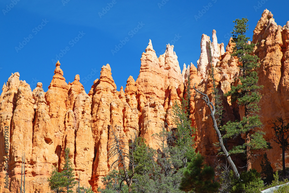 Naklejka premium Bryce canyon