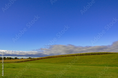 Beautiful day with green field and blue skies