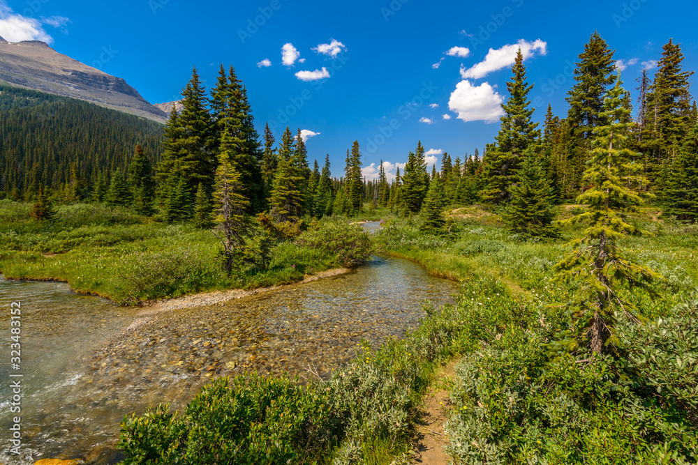Obraz premium Majestic mountain river in Canada.