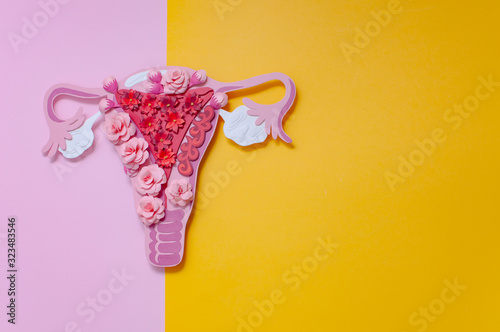 Concept endometriosis. The women's reproductive system, copy space for text photo