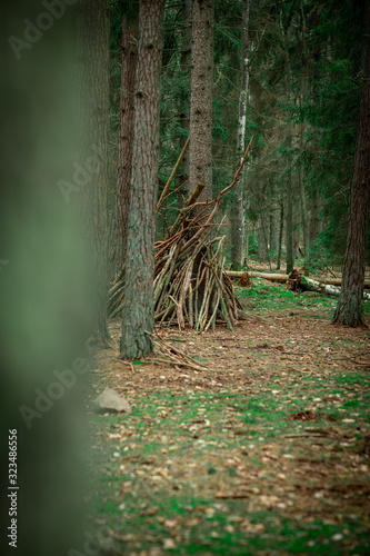 Wood hut in a green forrest