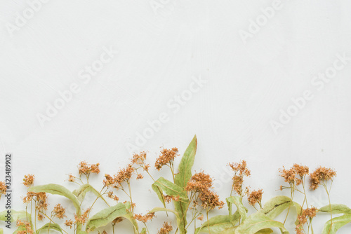 Herbal tea ingredients on a white background. Dried linden flowers. Roasted herbal tea flat lay style.