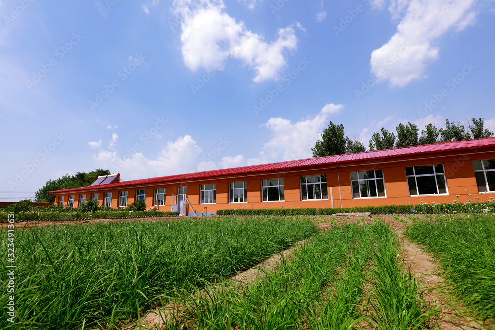 Architecture and plants in the park
