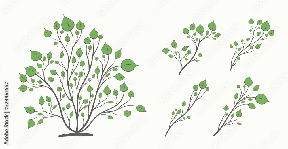 Bush and a set of branches with green leaves of different shapes isolated on a light background
