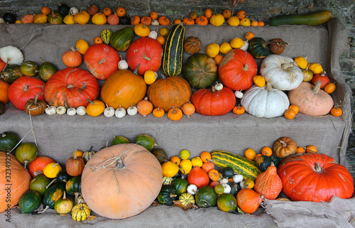 Gourds