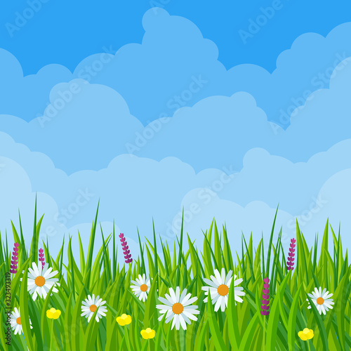 Spring meadow flowers flat design vector illustration. Vector background template for banner, landing page, website.