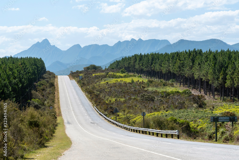 Obraz premium Tsitsikamma, Eastern Cape, South Africa, Dec2019. Empty road on the garden route close to Tsitsikamma in the Eastern cape region. South Africa