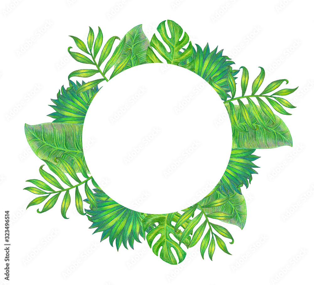 Summer tropical background banner with palm leaves. Foliar background on white. Summer tropical background banner with palm leaves. Foliar background on white.
