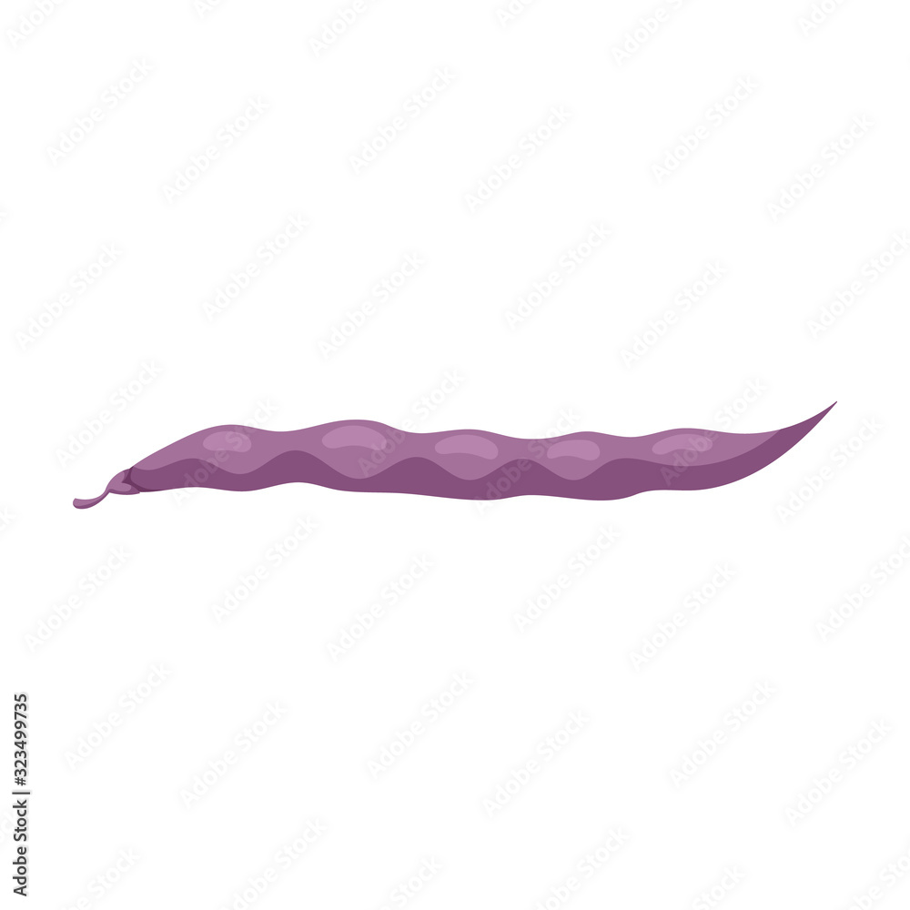 Bean of pod vector icon.Cartoon vector icon isolated on white background bean of pod. Bean of pod vector icon.Cartoon vector icon isolated on white background bean of pod.