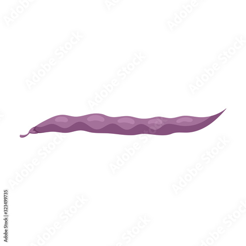 Bean of pod vector icon.Cartoon vector icon isolated on white background bean of pod.