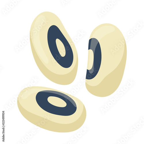 White bean vector icon.Cartoon vector icon isolated on white background white bean.