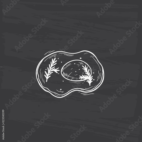 Fried Egg with rosemary. English breakfast. Hand drawn Sketch Food. Vector Illustration