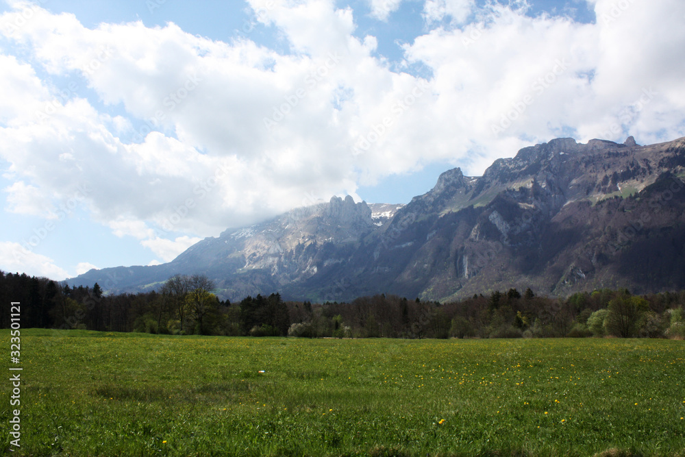 Swiss Alps in summer in sunny day