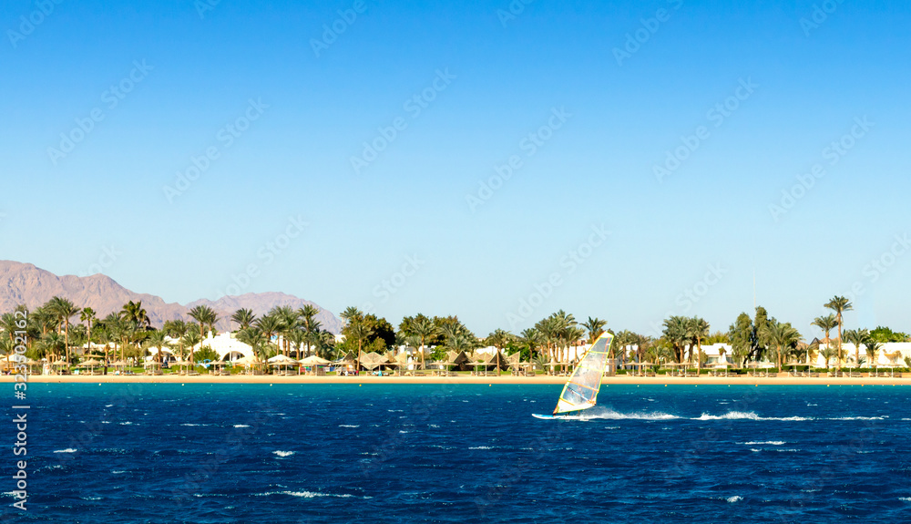 windsurfer rides on the background of the beach with palm trees and rocky mountains in Egypt Dahab South Sinai