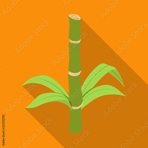 Stem of sugar cane vector icon.Flat vector icon isolated on white background stem of sugar cane .