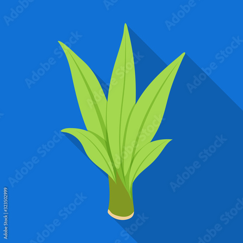 Leaves of sugarcane vector icon.Flat vector icon isolated on white background leaves of sugarcane .