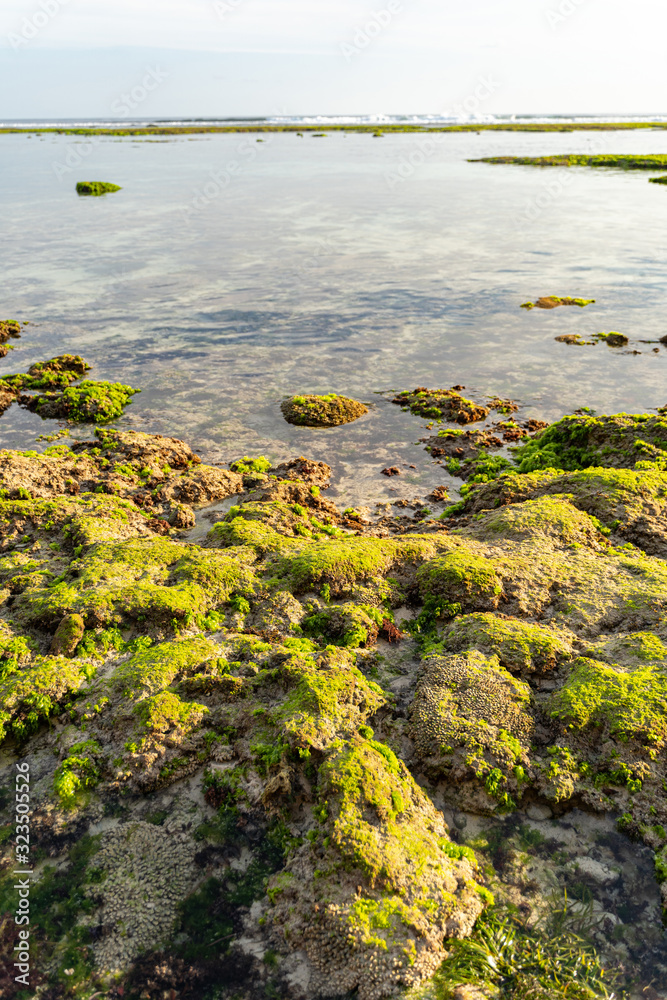 Rocks on coast of ocean stock photo Rocks on coast of ocean stock photo
