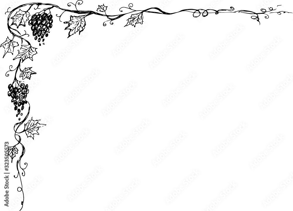 Obraz premium frame with flowers and leaves