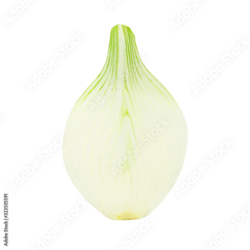Onion isolated on white background. Fresh Bulb of green Onion vegetable close up.