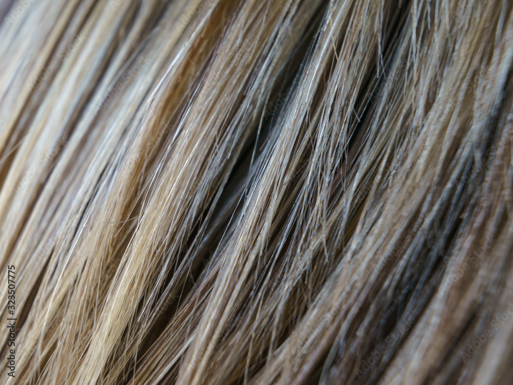 Bright image of streaked hair. Youth modern hairstyle. Highlight hair texture abstract background Bright image of streaked hair. Youth modern hairstyle. Highlight hair texture abstract background