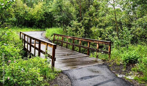 wooden bridge in the forest photo