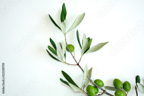 Obraz na płótnie Olive branch with green olives isolated on white background. w salonie