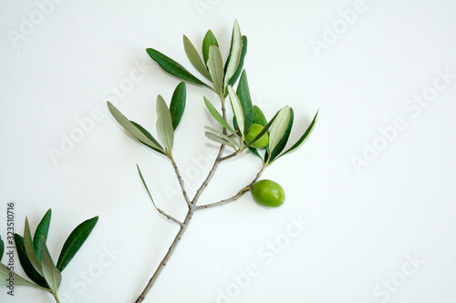 Obraz na płótnie Olive branch with green olives isolated on white background. w salonie
