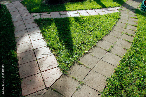 Garden path of paving slabs in the garden
