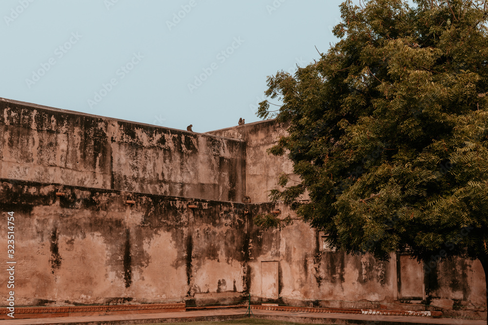 Naklejka premium Agra Fort