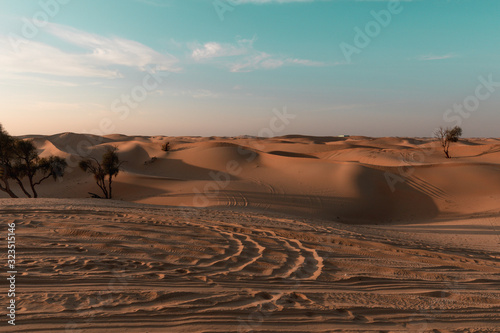 Desert sunset