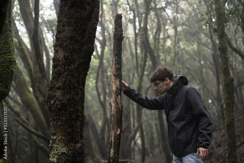 Man traveler in blue raincoat enjoying hiking in the beautiful scary mystic rainforest trees in Anaga national park on Tenerife island, Spain. Rain, fog, silence in old forest Man traveler in blue raincoat enjoying hiking in the beautiful scary mystic rainforest trees in Anaga national park on Tenerife island, Spain. Rain, fog, silence in old forest