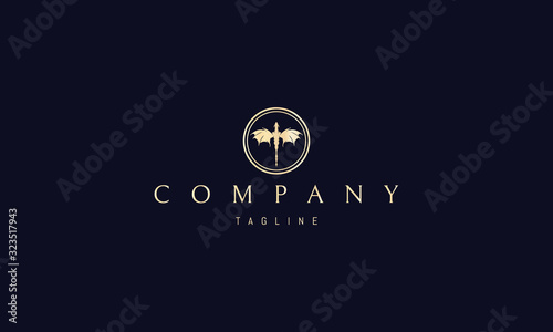 Vector golden logo on which an abstract image of a flying dragon in the center of the circle.