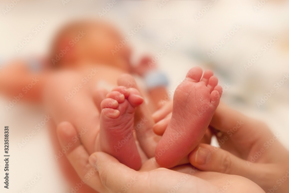 Infant heels in mother's hands Infant heels in mother's hands