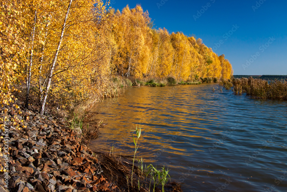 Obraz premium lake Bernstein - dreamlike - colorful trees in autumn