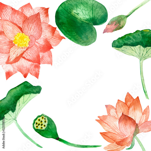 Watercolor hand painted nature floral water squared frame composition with peach color lotus blossom flowers  bud and green leaves on branch on the white background for invite and greeting cards