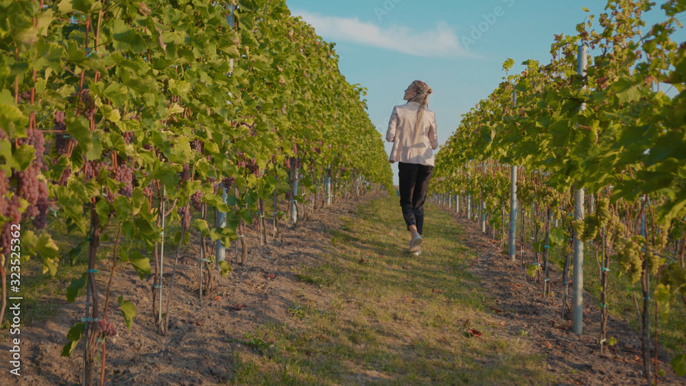 Stylish woman walk vineyards with glass of red wine smile feel happy organic connecting with nature agriculture sunny travel countryside field grape green rural view tasting slow motion Stylish woman walk vineyards with glass of red wine smile feel happy organic connecting with nature agriculture sunny travel countryside field grape green rural view tasting slow motion