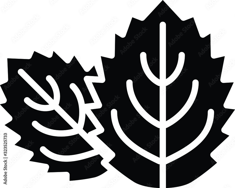 Obraz premium Mint icon, vector line illustration