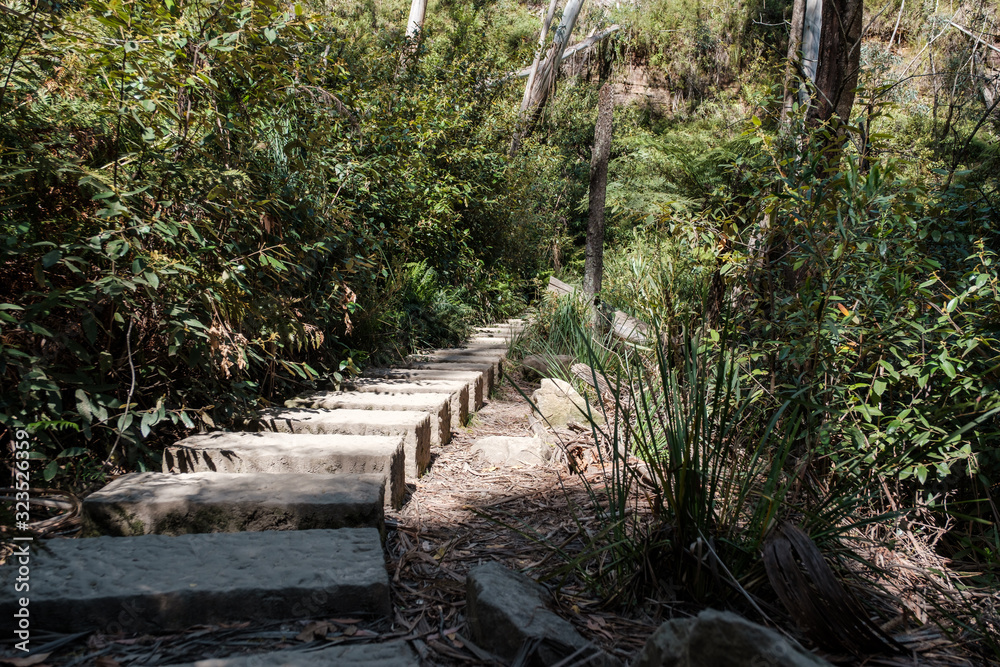 A pathway made of stones leading through the forest at the Blue Mountains national park, NSW, Australia